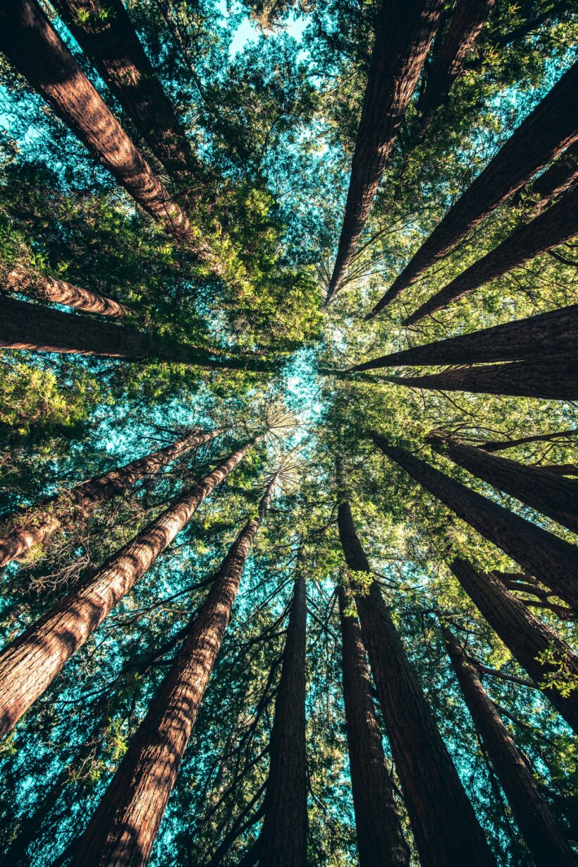 Mediazione e Facilitazione in campo ambientale: 18 Giugno Convegno a Milano (e online)